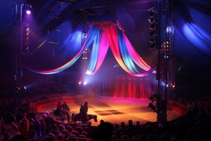 Mehr über den Artikel erfahren Mein Hamburger Jahresrückblick 2012