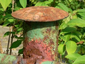 Mehr über den Artikel erfahren Zum alten Eisen?