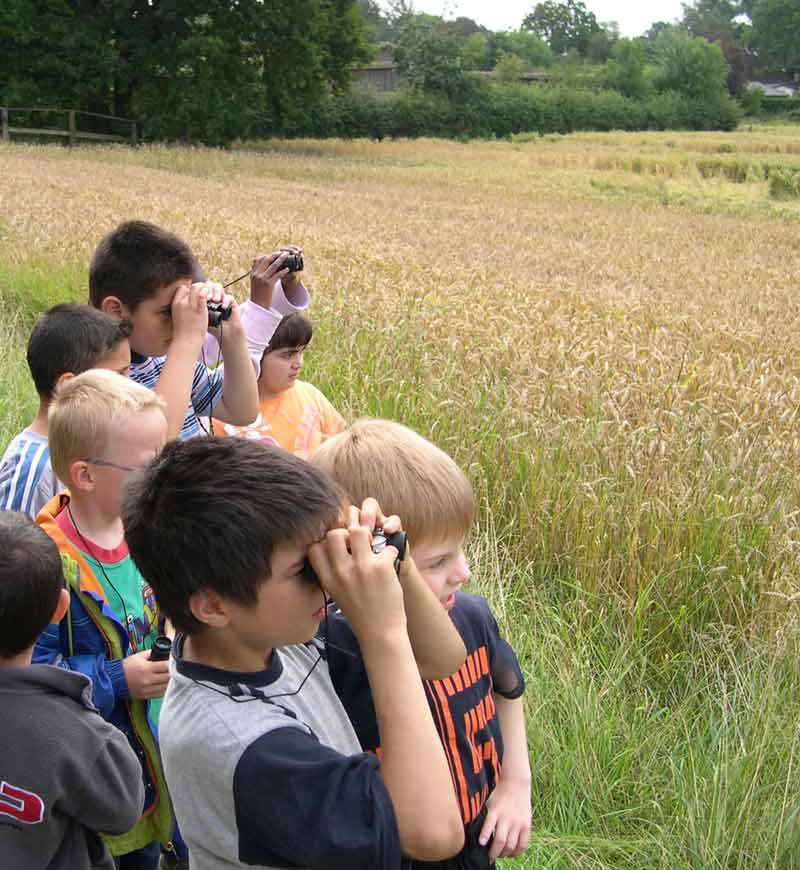 Foto: Loki-schmidt-stiftung