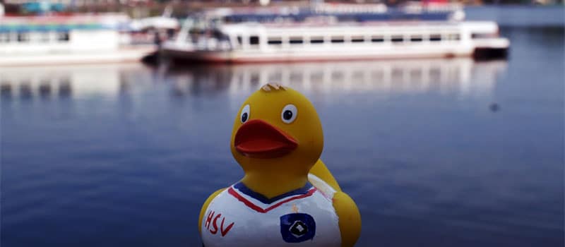 Lions-Entenrennen Hamburg 2013