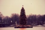Weihnachtsbaum auf der Binnenalster in Hamburg