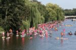 Hamburg wird pink meets Paddle for Hope
