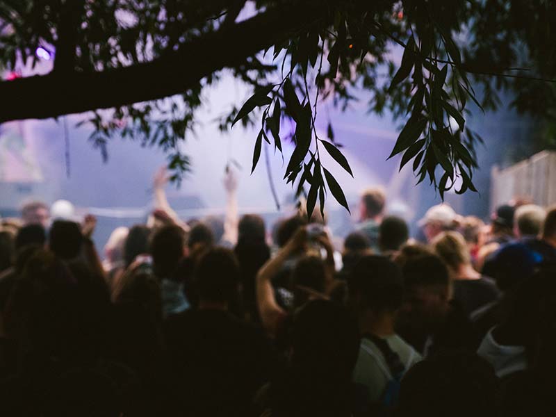Habitat Festival mit Besuchern vor einer Bühne von einen Baum aus gesehen in Hamburg