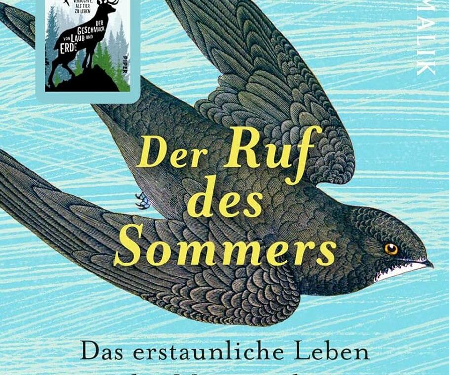 Buchcover: Der Ruf des Sommers - Der Ruf des Sommers. Das erstaunliche Leben der Mauersegler