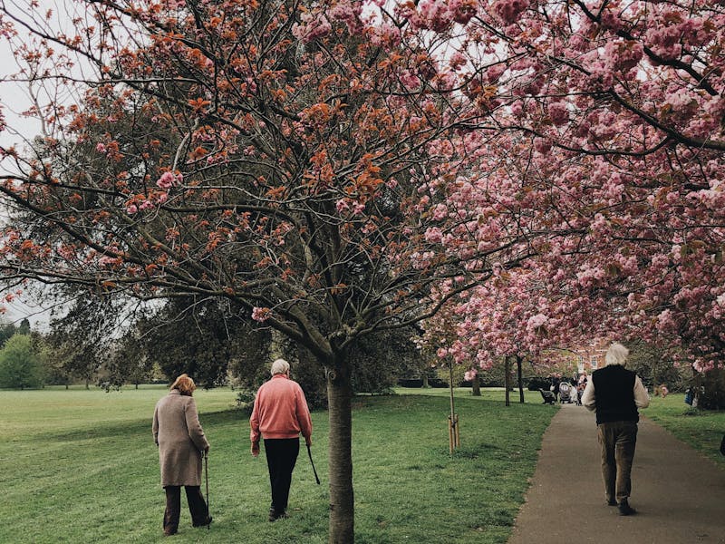 Alte Menschen spazieren an der Alster - Sinnbild für CBD Öl für Senioren