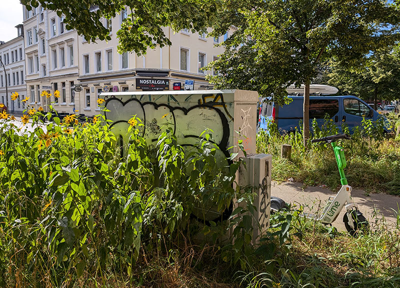 Nachhaltiger Lebensstil in Hamburg