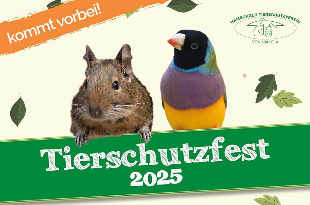 Plakat: Tierschutzfest Tierheim Süderstraße