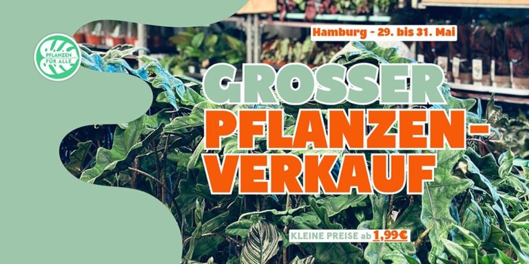 Banner: Großer Pflanzenverkauf in der Wiese eG