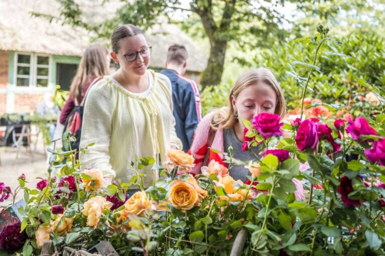 Eine junge Frau riecht an einem Rosenstrauch auf dem Rosenmarkt am Kiekeberg 2026